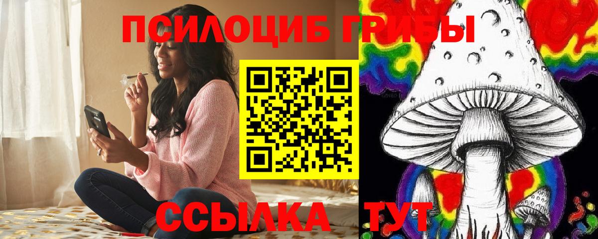 Псилоцибиновые грибы прущие грибы Карталы